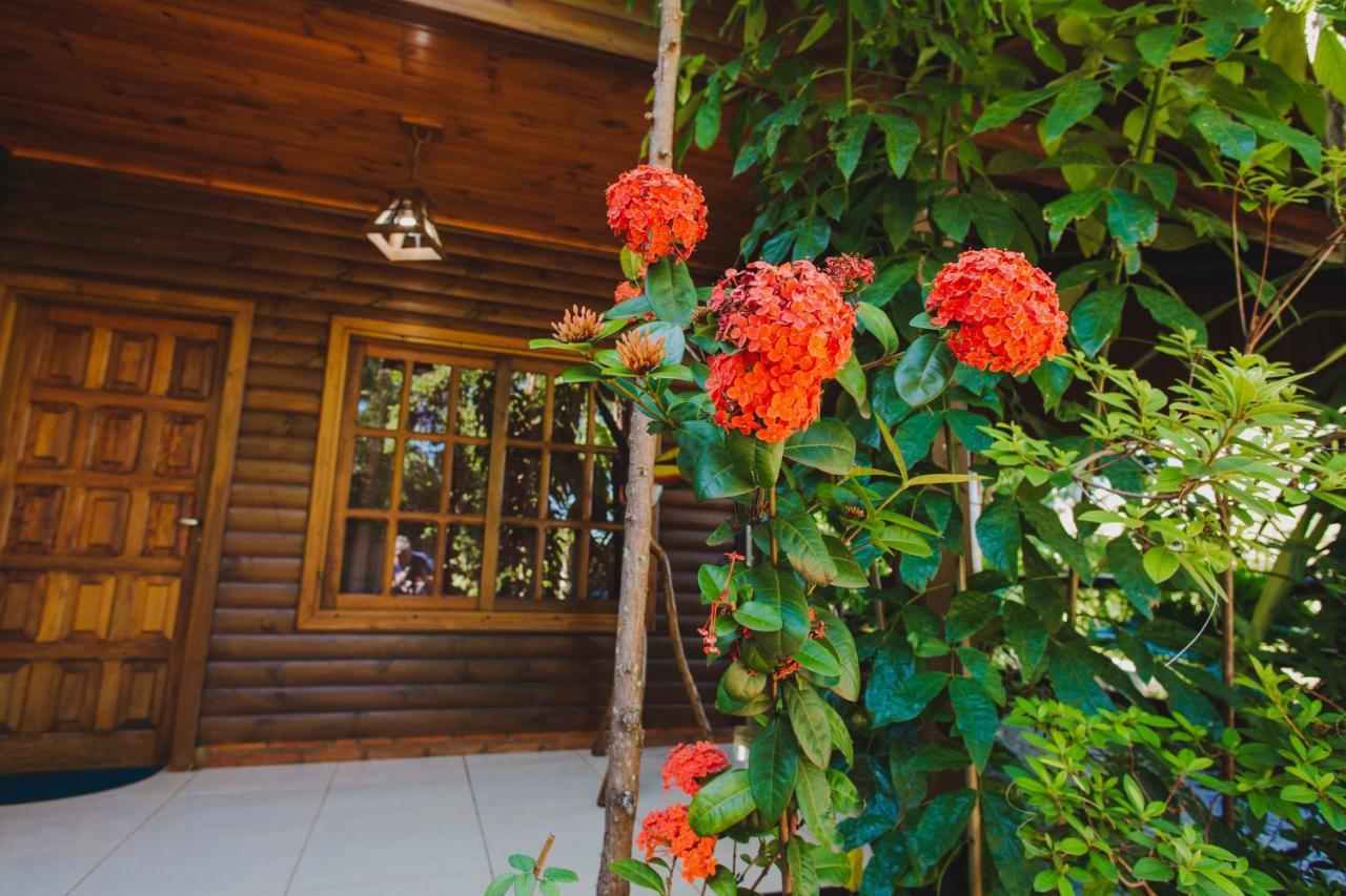 Cabanas Riberas Del Parana 푸에르토이과수 외부 사진